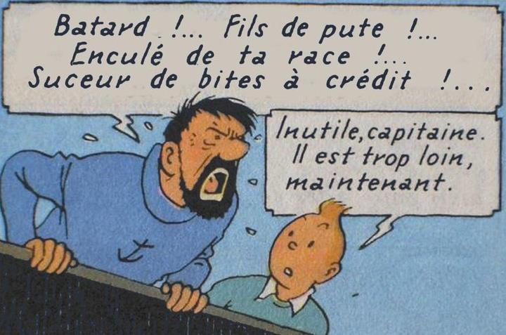 detournement expressions capitaine haddock